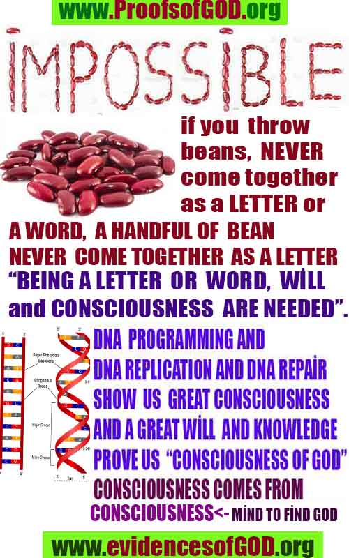 evidences of God, proofs of God, proof of God, signs of God, God is real proofs, God exists proofs, god's signs