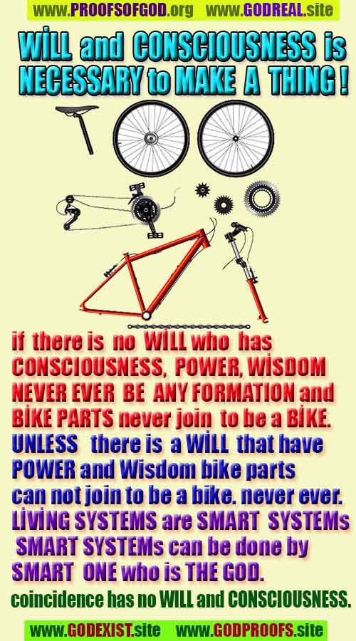 evidences of God, proofs of God, proof of God, signs of God, God is real proofs, God exists proofs, god's evidences