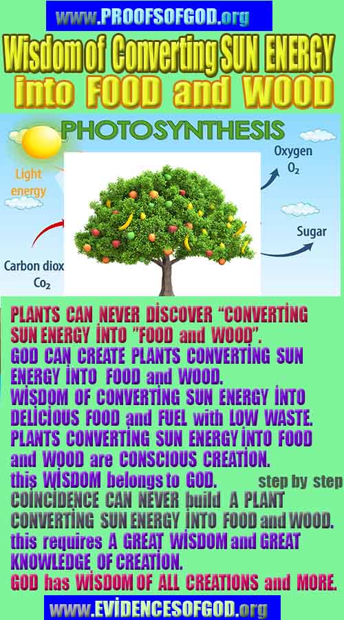 evidences of God, proofs of God, proof of God, signs of God, God is real proofs, God exists proofs, god's proofs