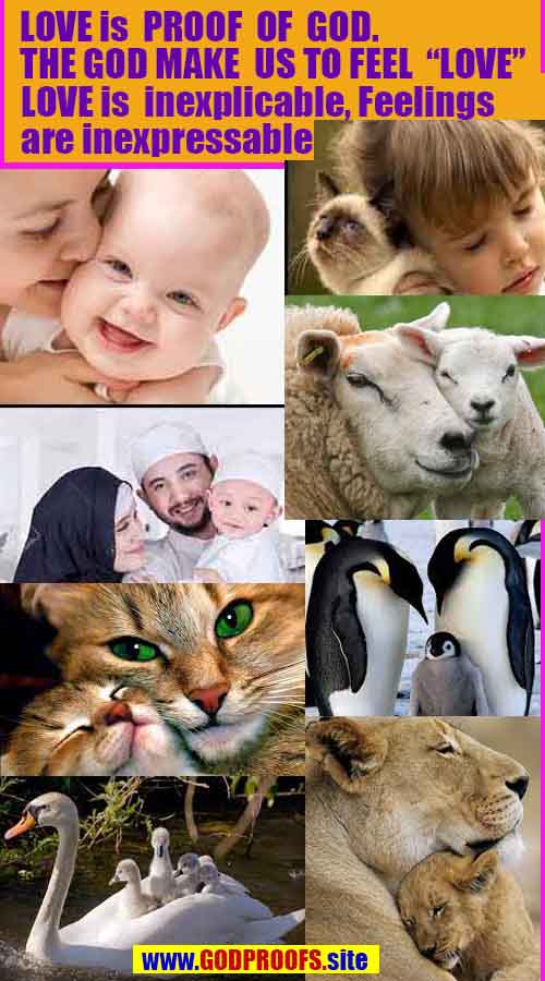 evidences of God, proofs of God, proof of God, signs of God, God is real proofs, God exists proofs, god's evidences